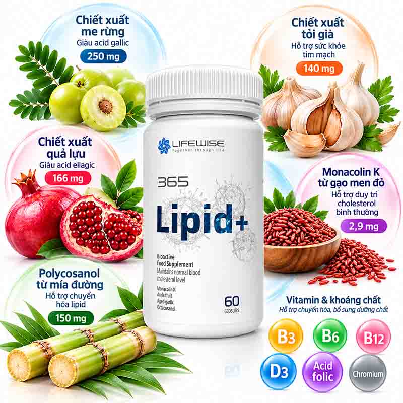 Viên hỗ trợ ổn định Cholesterol Lifewise 365 Lipid