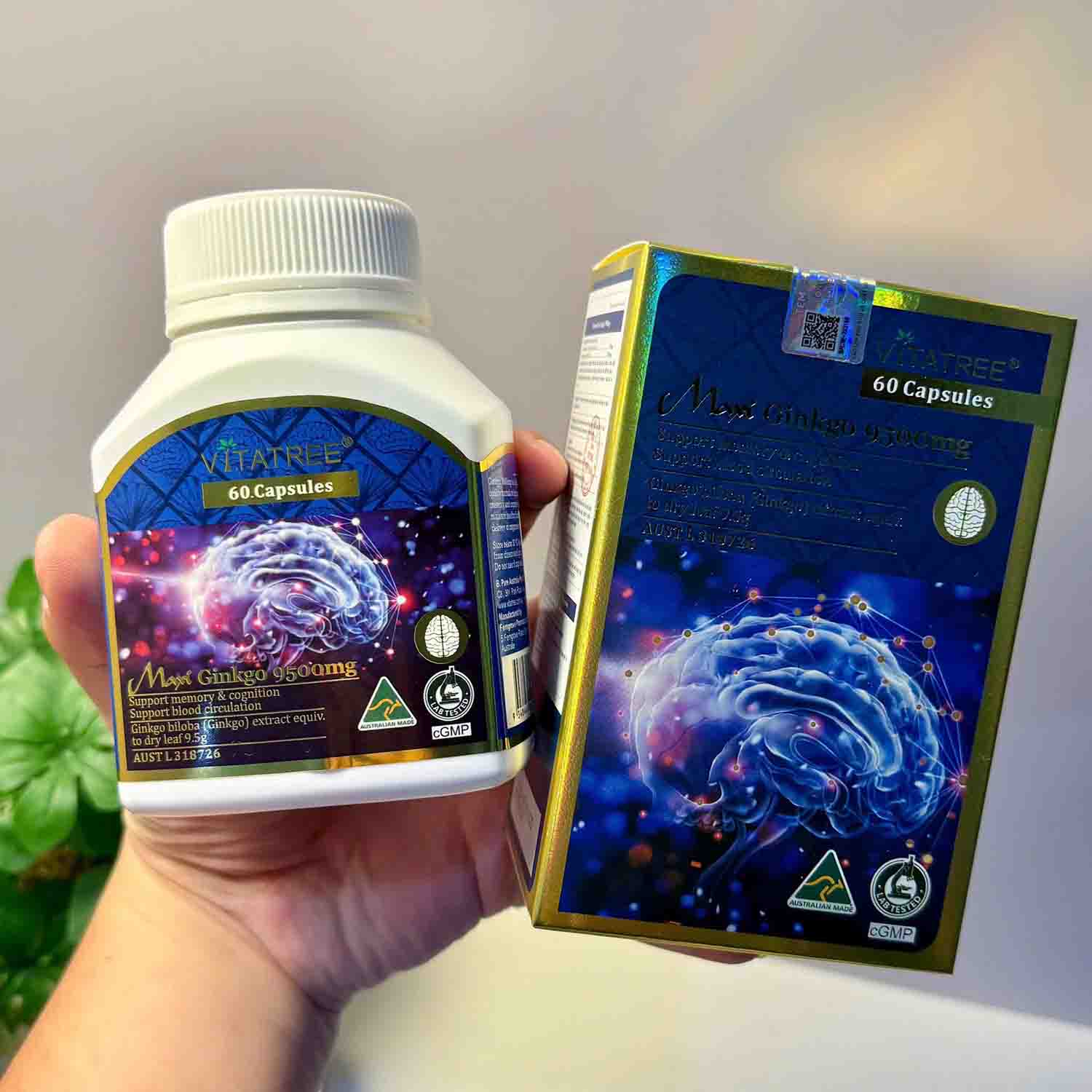maxi ginkgo 9500mg vitatree 60 viên